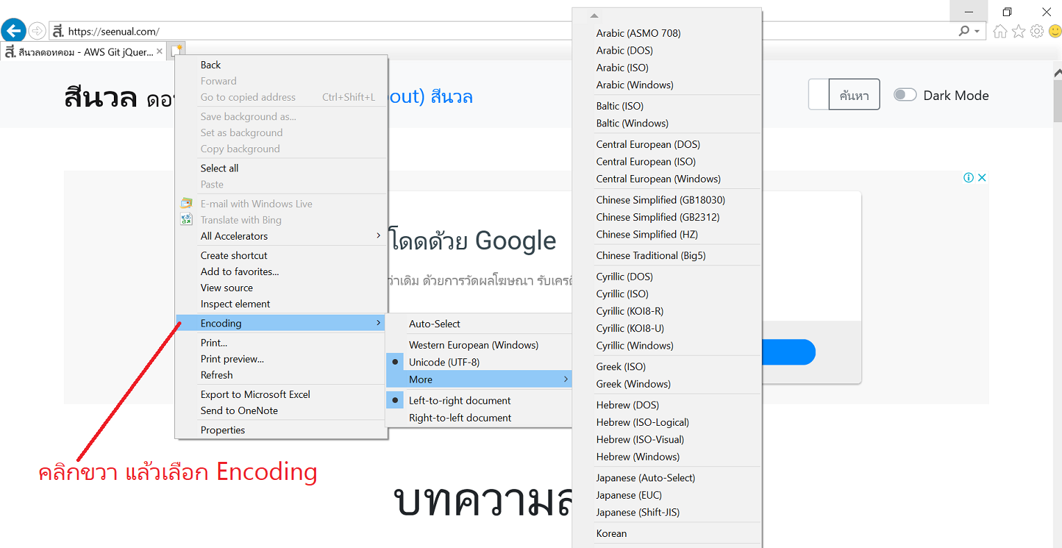 การเปลี่ยน encoding ใน google chrome, Firefox, IE, Safari
